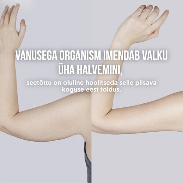 2x Ökoloogiline taimne proteiinikokteil „Vegan Protein” - Image 5