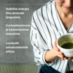Ökoloogiline Matcha (100 g) - Image 4
